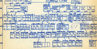 Family tree index
