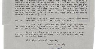 Letter from Racey to Harrison, Mar. 21, 1949 (recto)