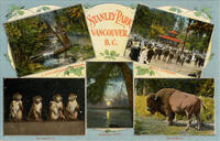 Stanley Park, Vancouver, B.C. A Picturesque Corner, Band Concert, Monkeys, Moonlight, Buffalo