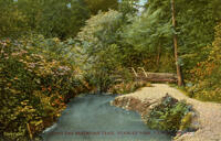 Along the Reservoir Trail, Stanley Park, Vancouver, B.C.