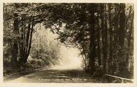 A driveway in Stanley Park Vancouver B.C. (b&w)
