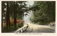 Driveway in Stanley Park, Vancouver, B.C.