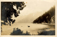 A coastline view from Whitecliff, B.C.
