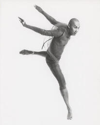 Volt [Photograph 3]