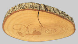 St. John's College wood carving (top view)