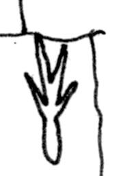 Person 3