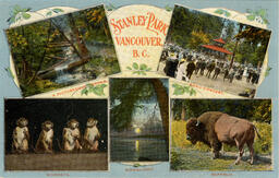 Stanley Park, Vancouver, B.C. A Picturesque Corner, Band Concert, Monkeys, Moonlight, Buffalo (Front)