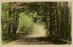 A driveway in Stanley Park Vancouver B.C. (colour) (Front)
