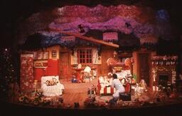 It's Snowing on Saltspring performance photo (1)