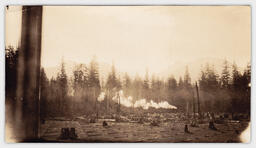 Shay Locomotive in Squamish - front: 