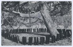 100 Boots in a Field