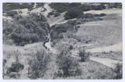 Eleanor Antin's 100 Boots Postcard Series
