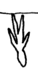 Person 5