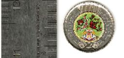 2023 Canadian $2 National Indigenous Peoples Day Coloured Toonie Coin