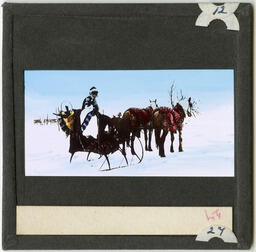 Horse & Sleigh