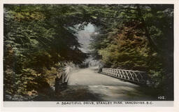 A beautiful drive, Stanley Park, Vancouver, B.C. (Front)