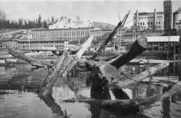 Ajax on the Powell River [graphic materials]