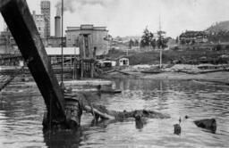 Ajax dredging the Powell River [graphic materials]