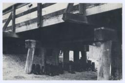 100 Boots Under the Bridge