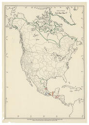 North American Indian Languages - initial sketch 3
