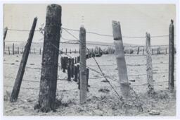 100 Boots at the Corral