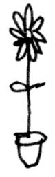 Flower 5