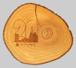 St. John's College wood carving (front view)