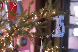 SJC festival of trees