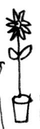 Flower 4