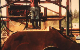 Cedar log on sawmill