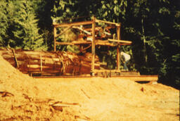 Cedar log on sawmill-3