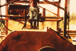 Man and Cedar log on sawmill