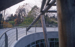 The First Nations Longhouse Pit House - Xwi7xwa Library