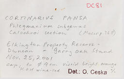 F017153 Oluna Label Recto