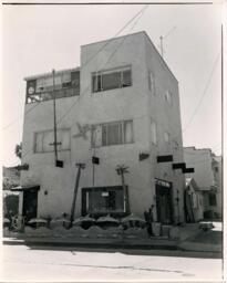 Residence with Dolphin Fence 2 print